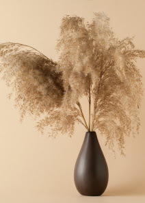 Товары для дома и дачи