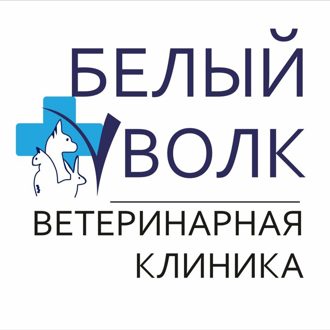 Приём хирурга-травматолога