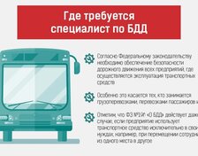 Специалист по Безопасности Дорожного Движения