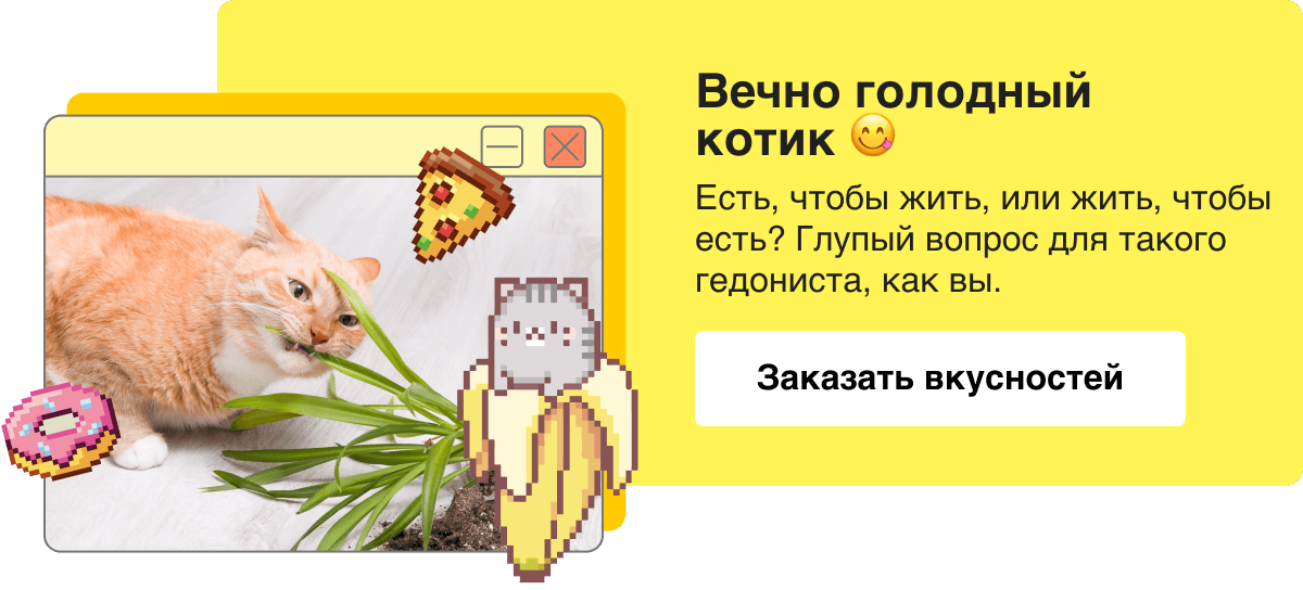 Вечно голодный котик 😋