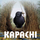 KAPACHI
