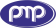 Логотип PMP