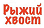 Логотип Рыжий хвост