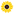 Логотип SunFlowеr