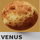 Under Venus Trading