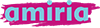 Логотип Амири
