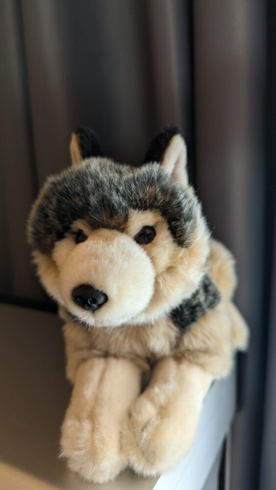 review-photo