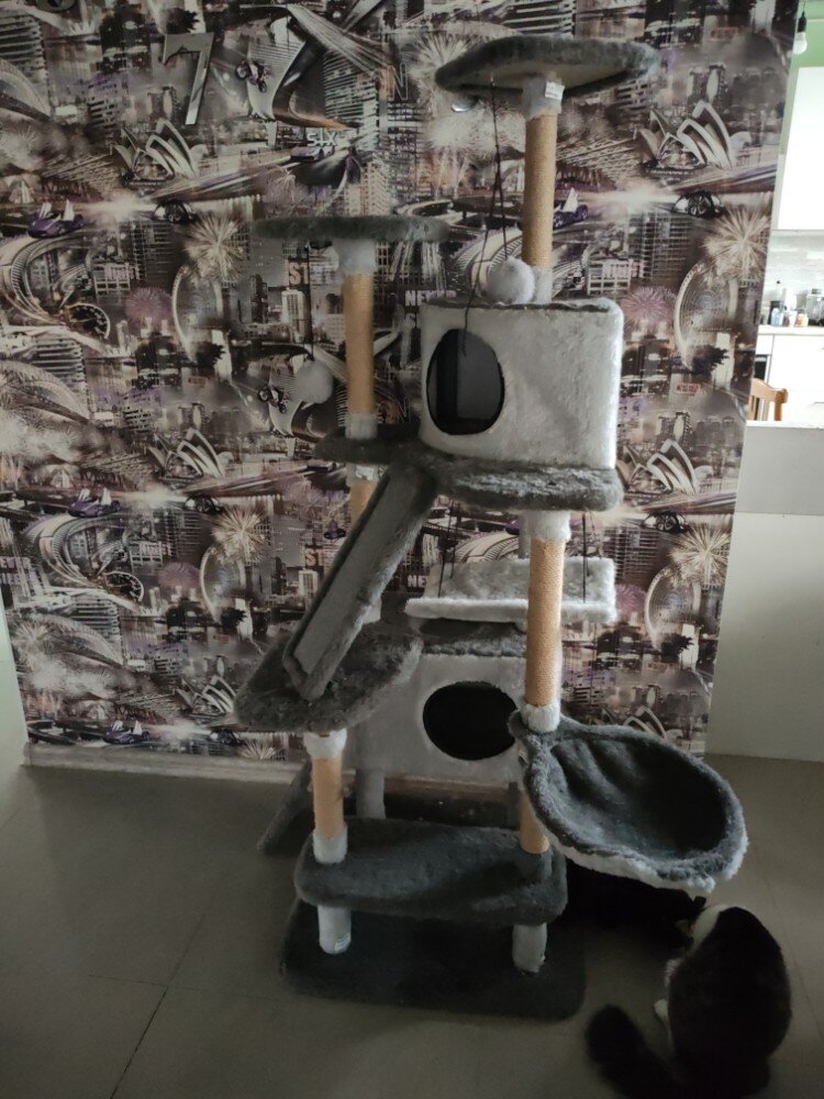 review-photo