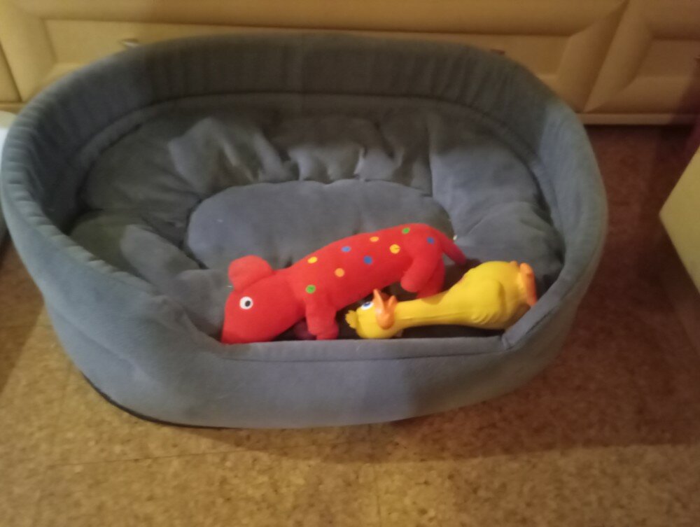 review-photo