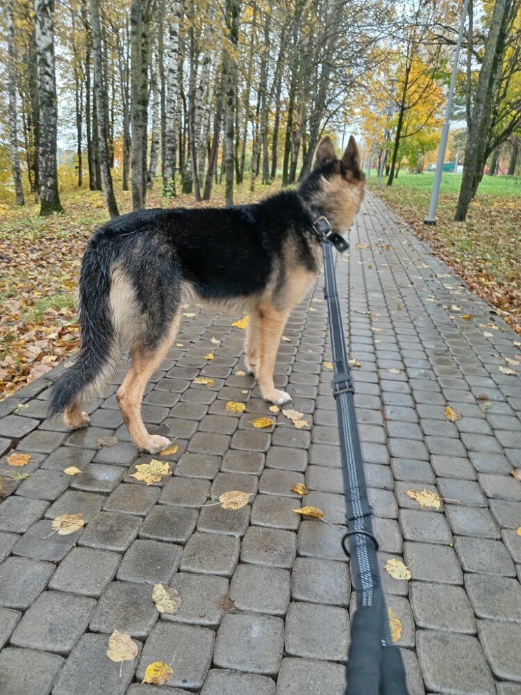 review-photo