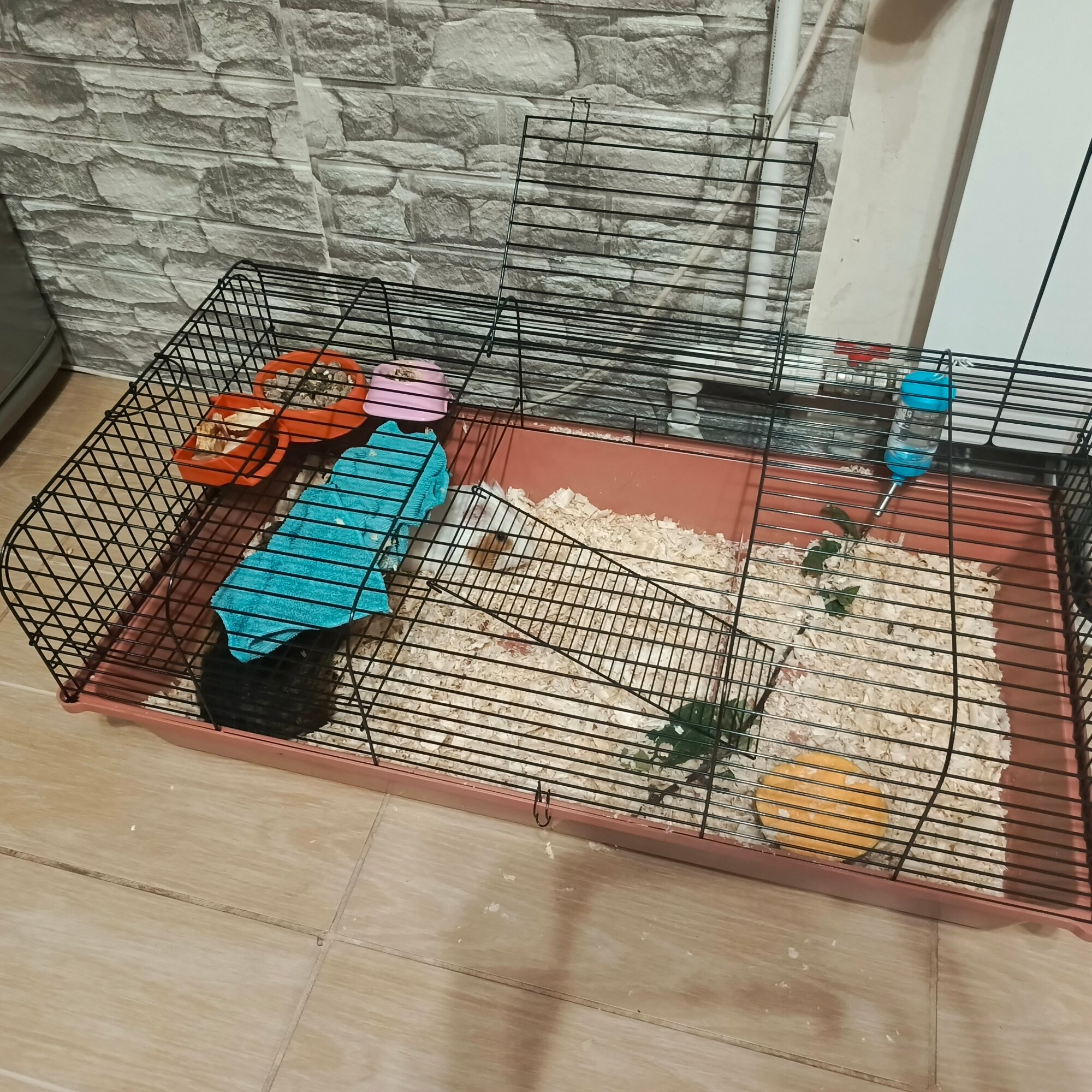 review-photo