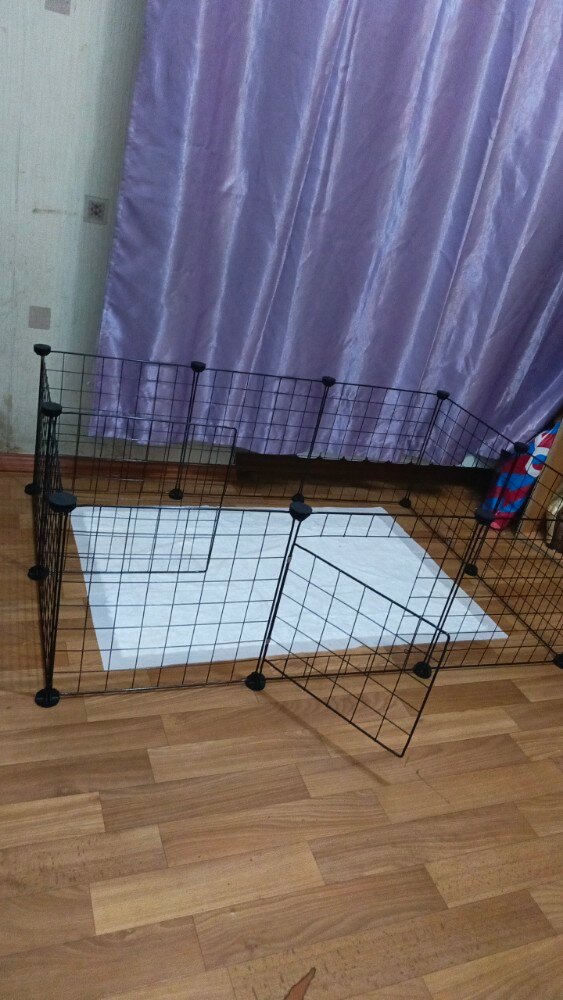 review-photo