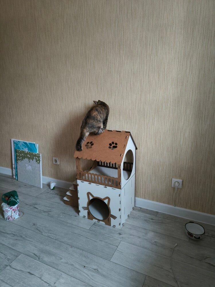review-photo