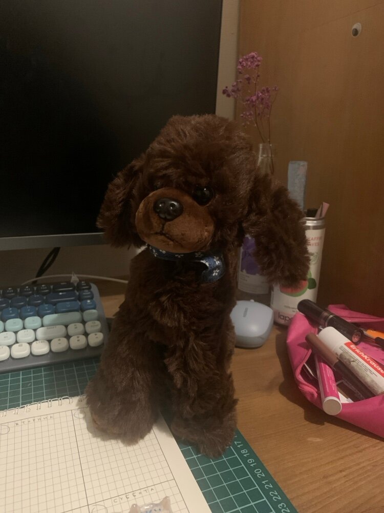 review-photo