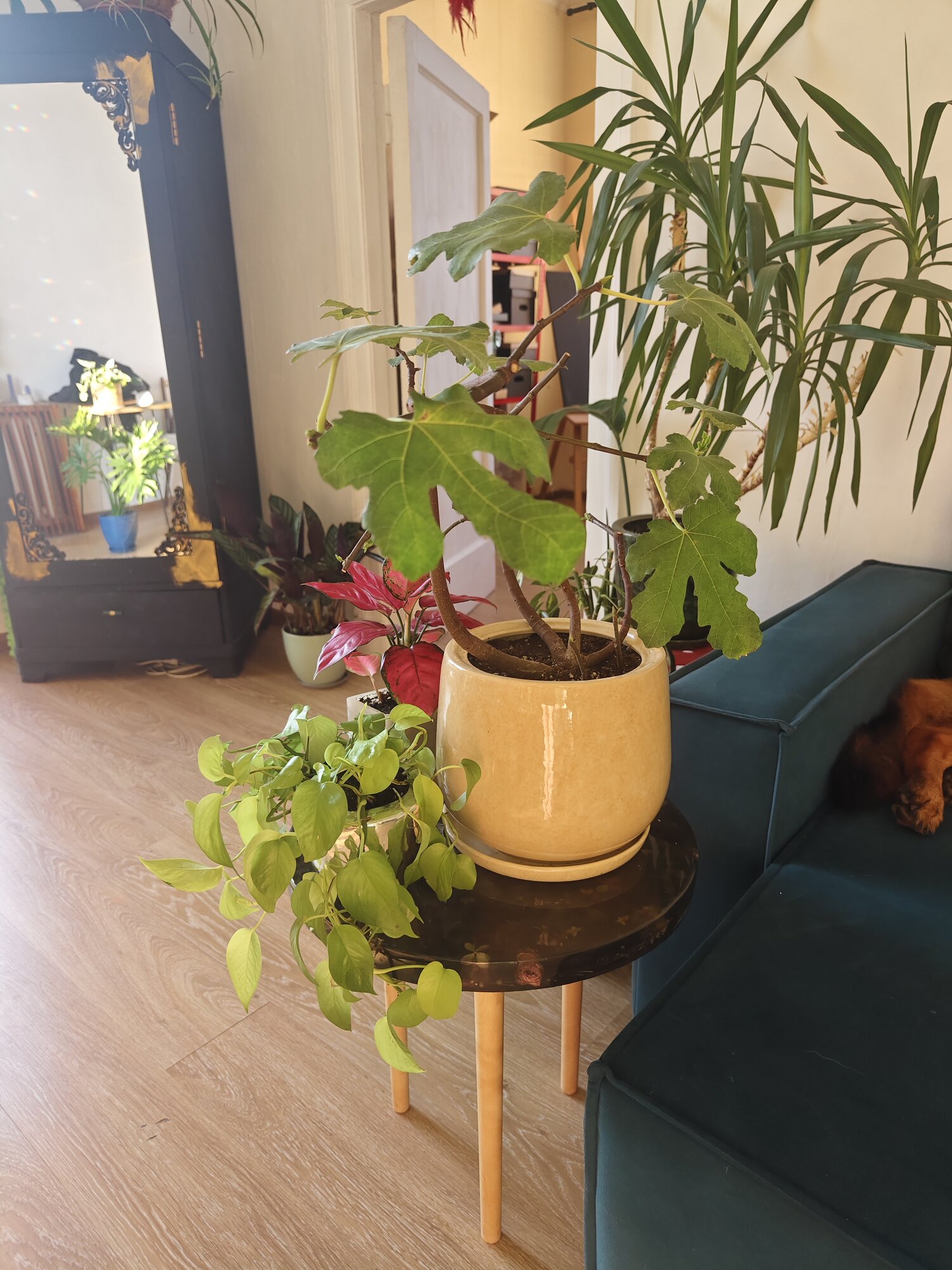 review-photo