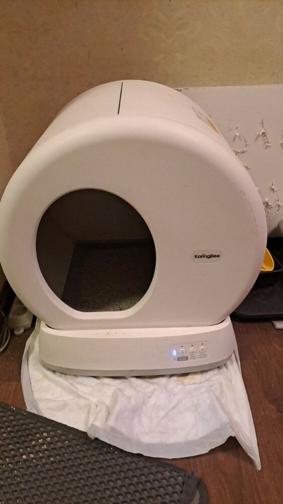review-photo