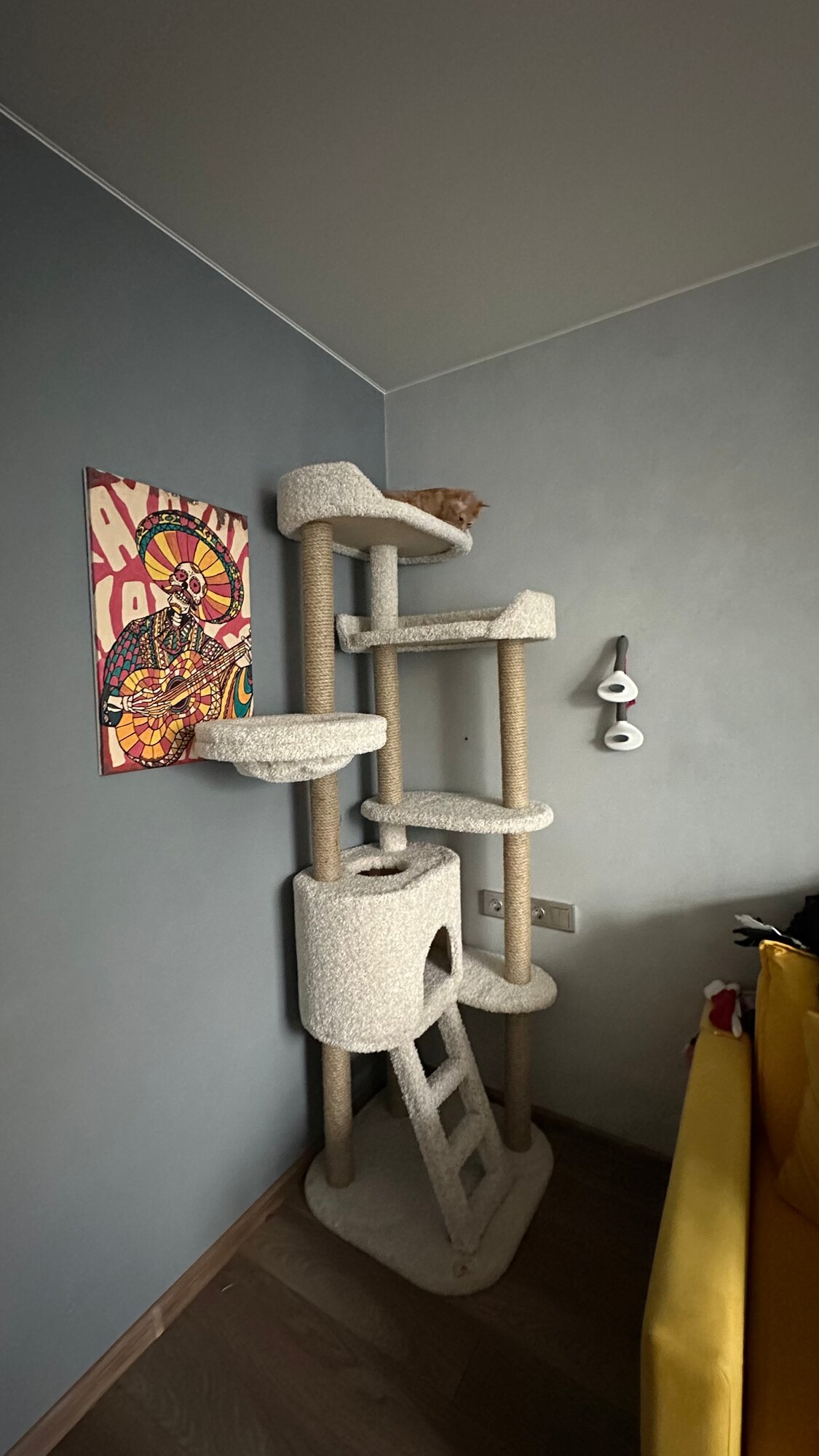 review-photo