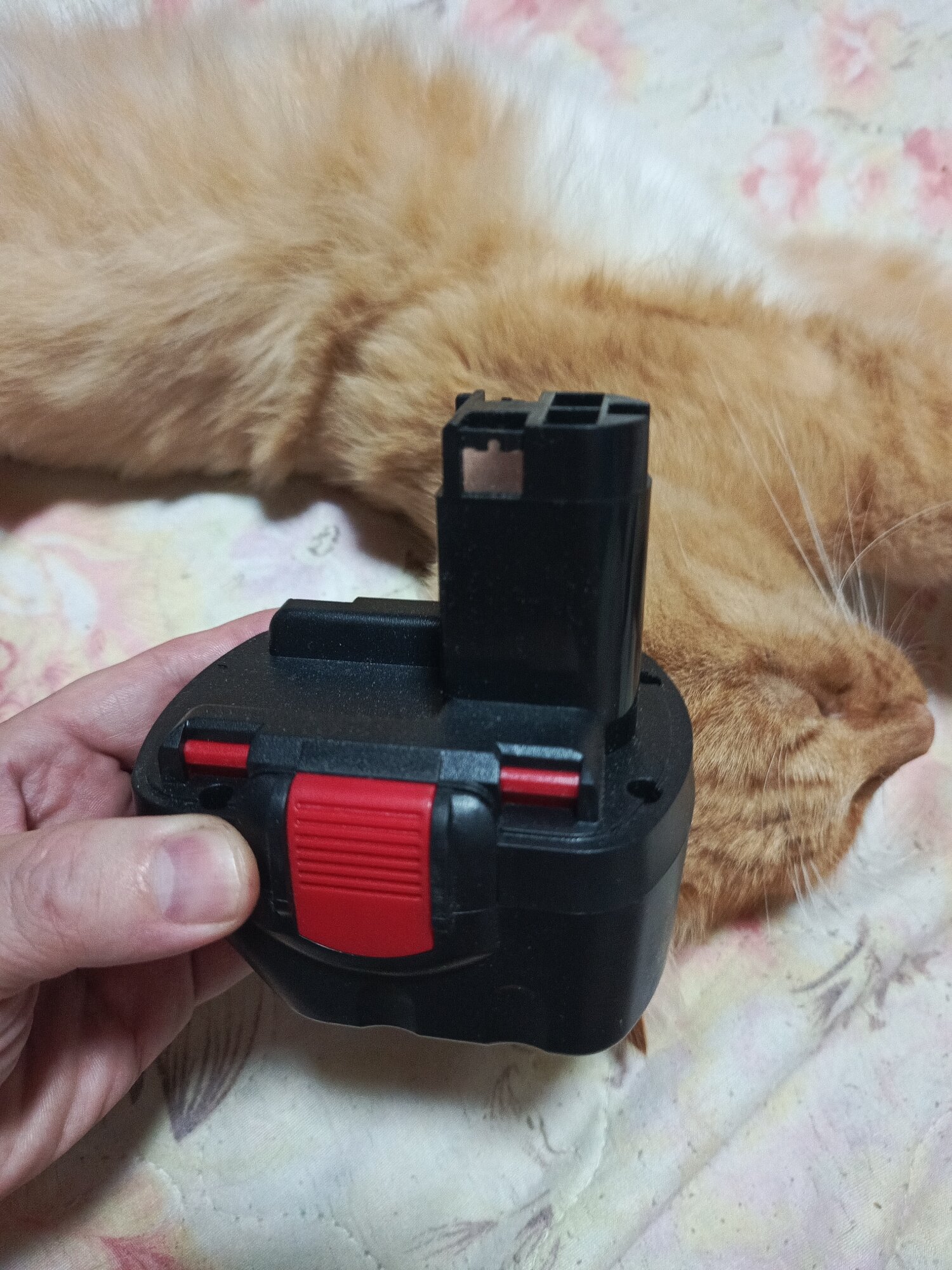 review-photo