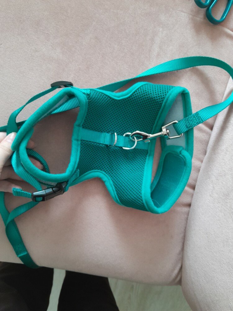 review-photo