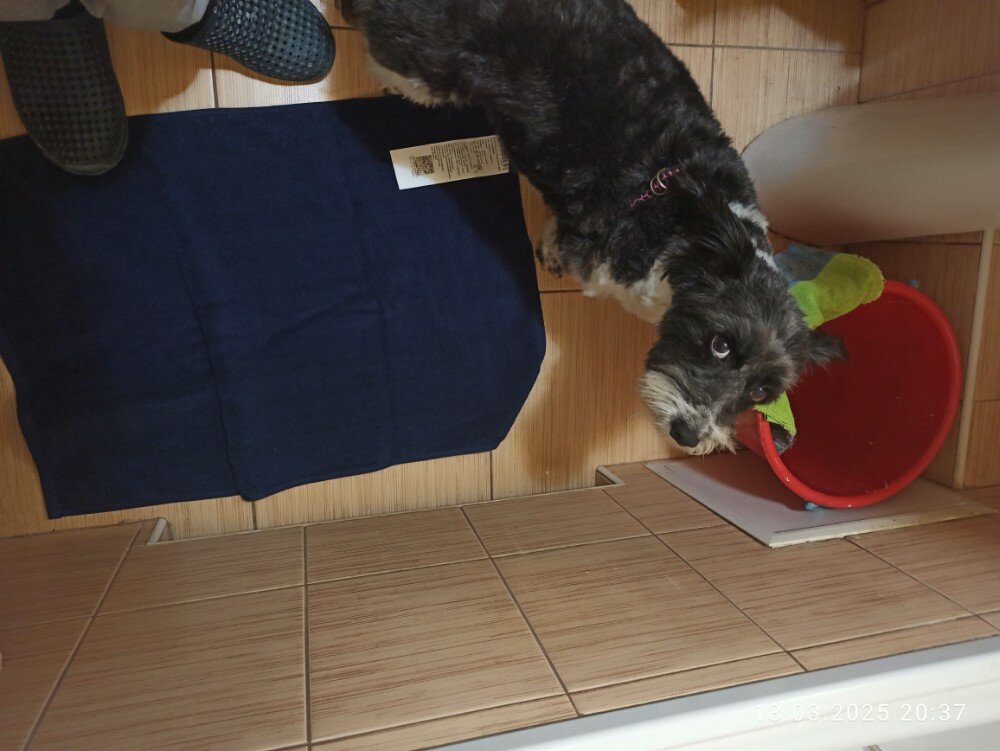 review-photo