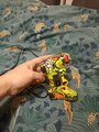 review-photo