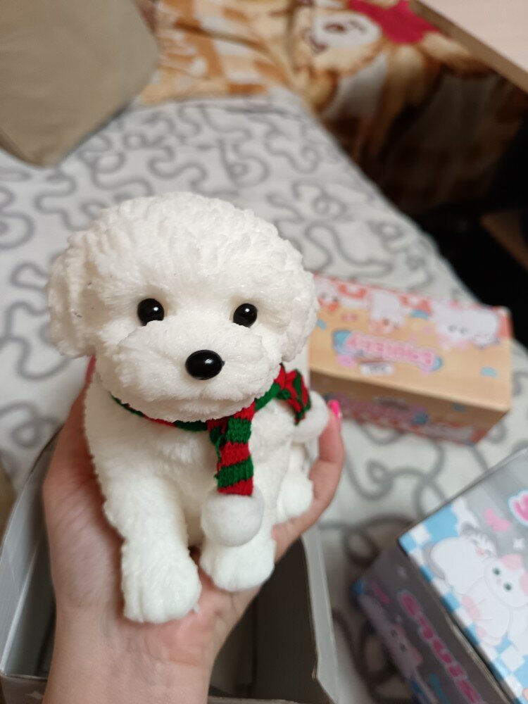 review-photo