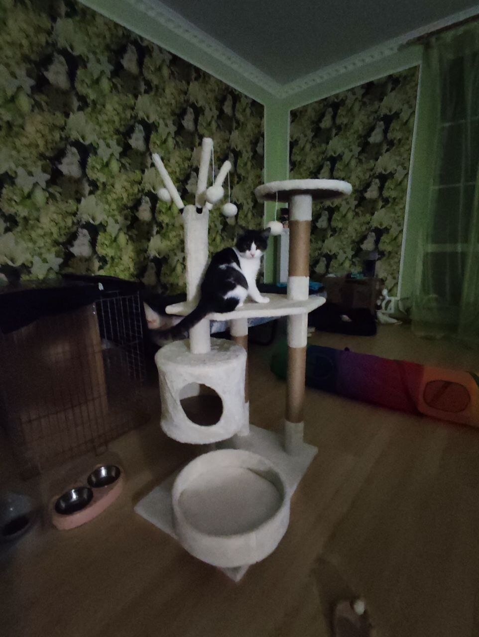 review-photo