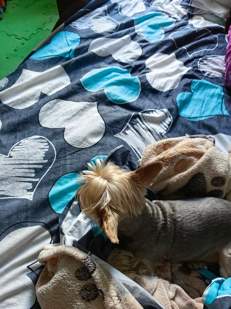 review-photo