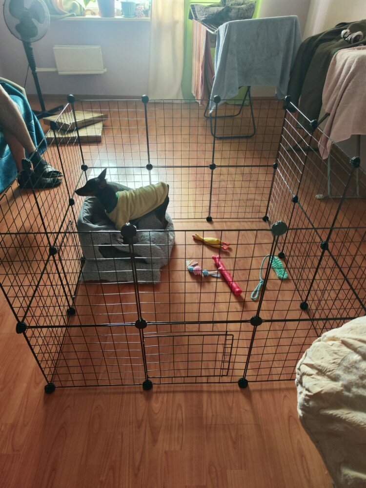 review-photo