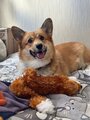 review-photo