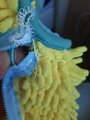 review-photo