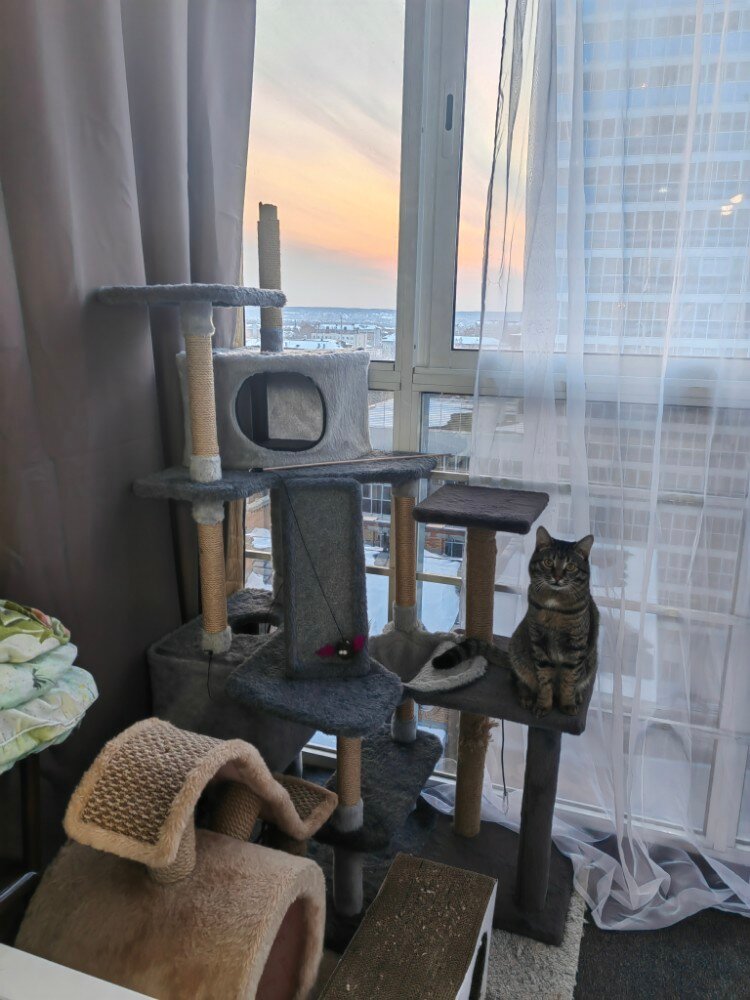 review-photo