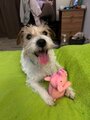 review-photo