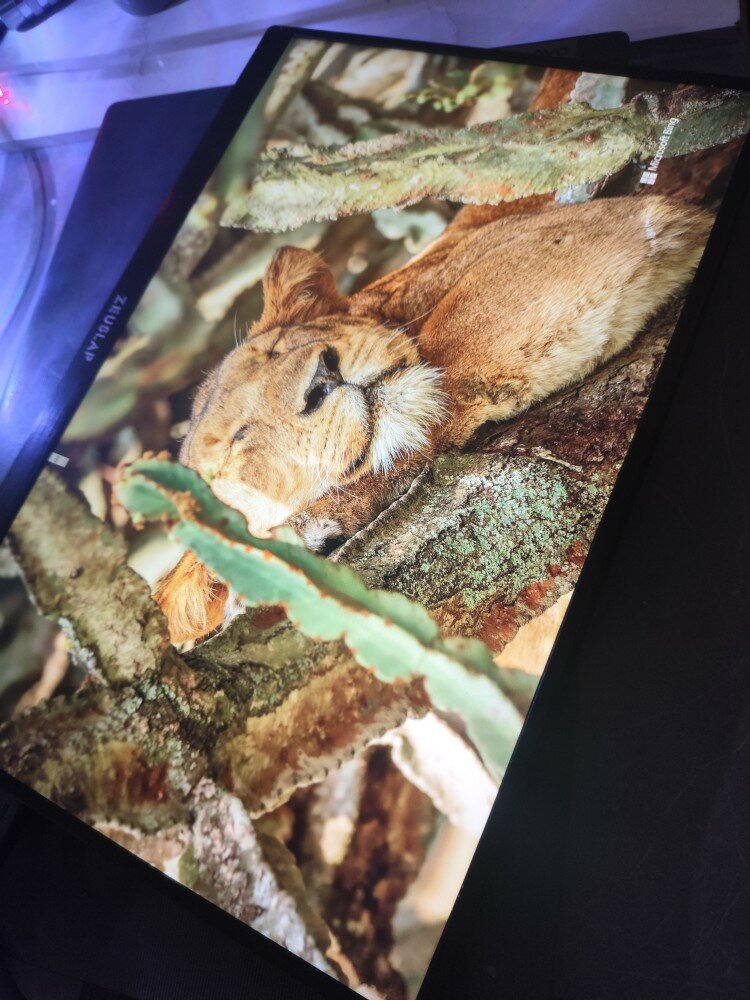 review-photo