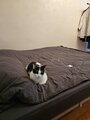 review-photo