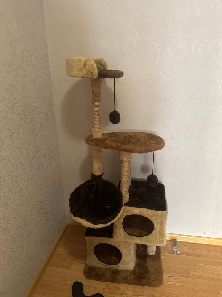 review-photo