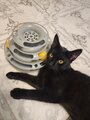 review-photo