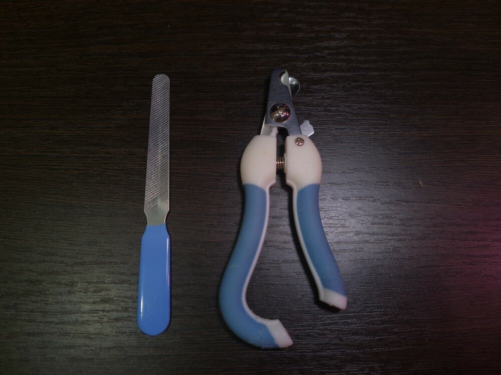 review-photo