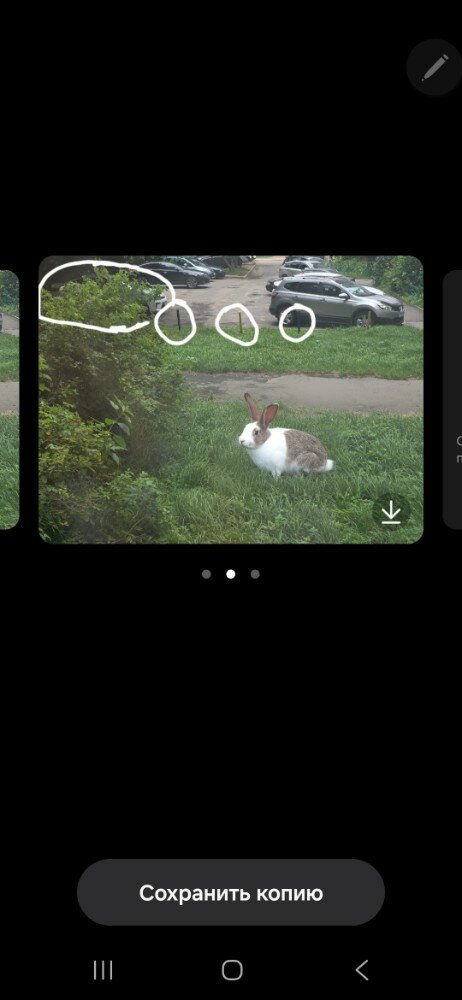 review-photo