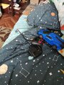 review-photo
