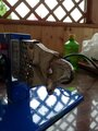 review-photo