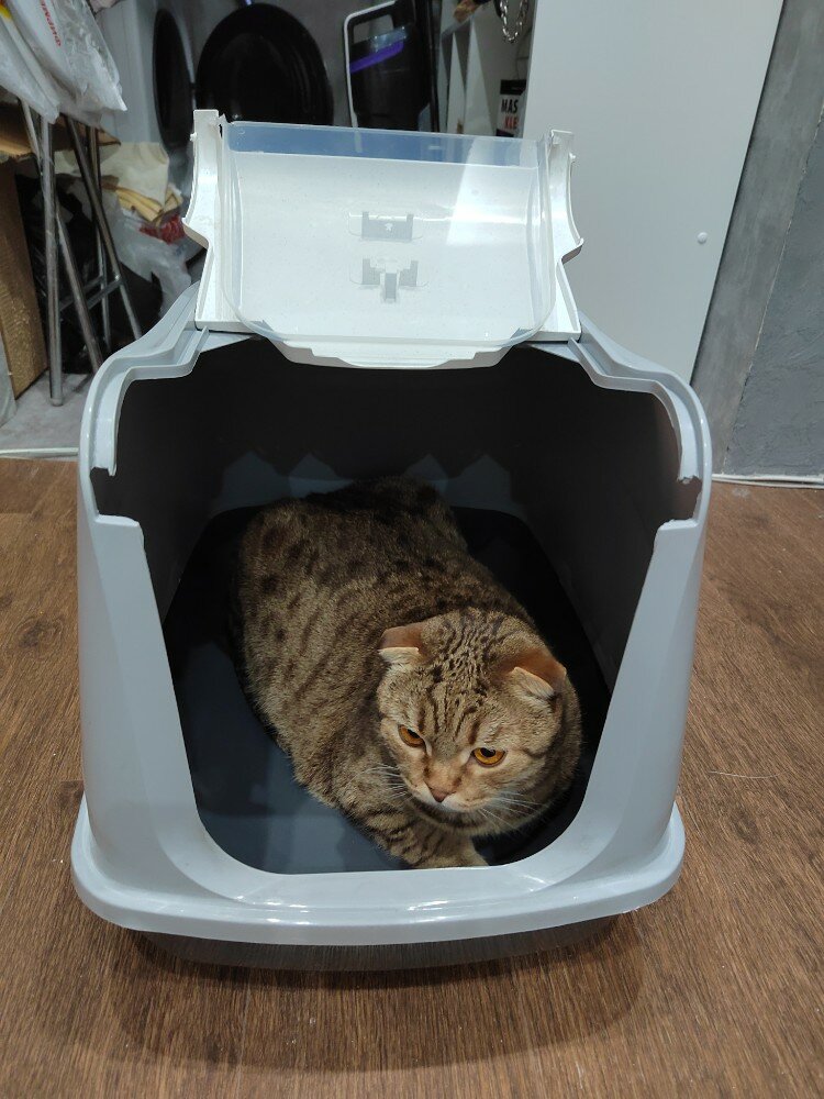 review-photo