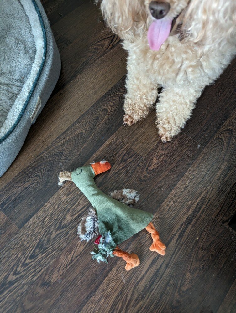 review-photo