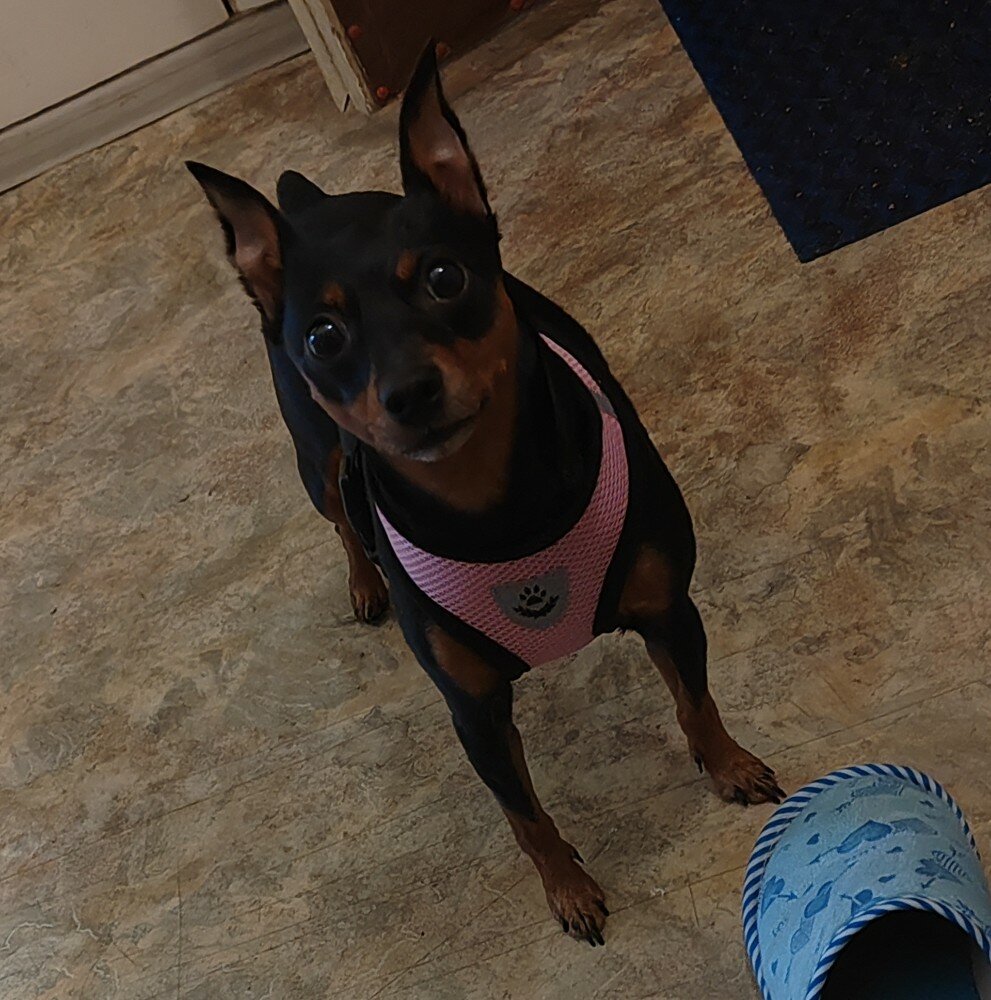 review-photo