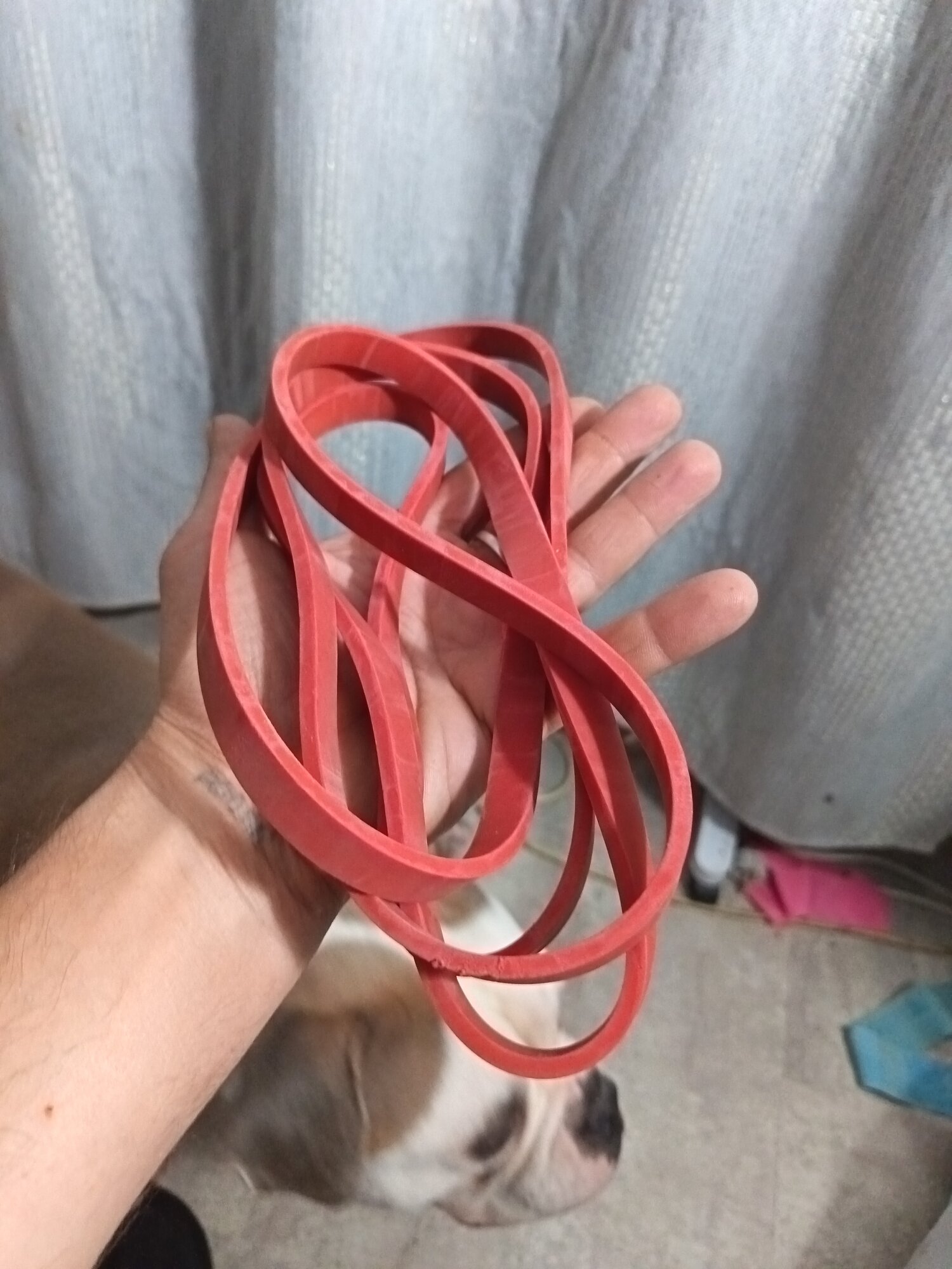 review-photo