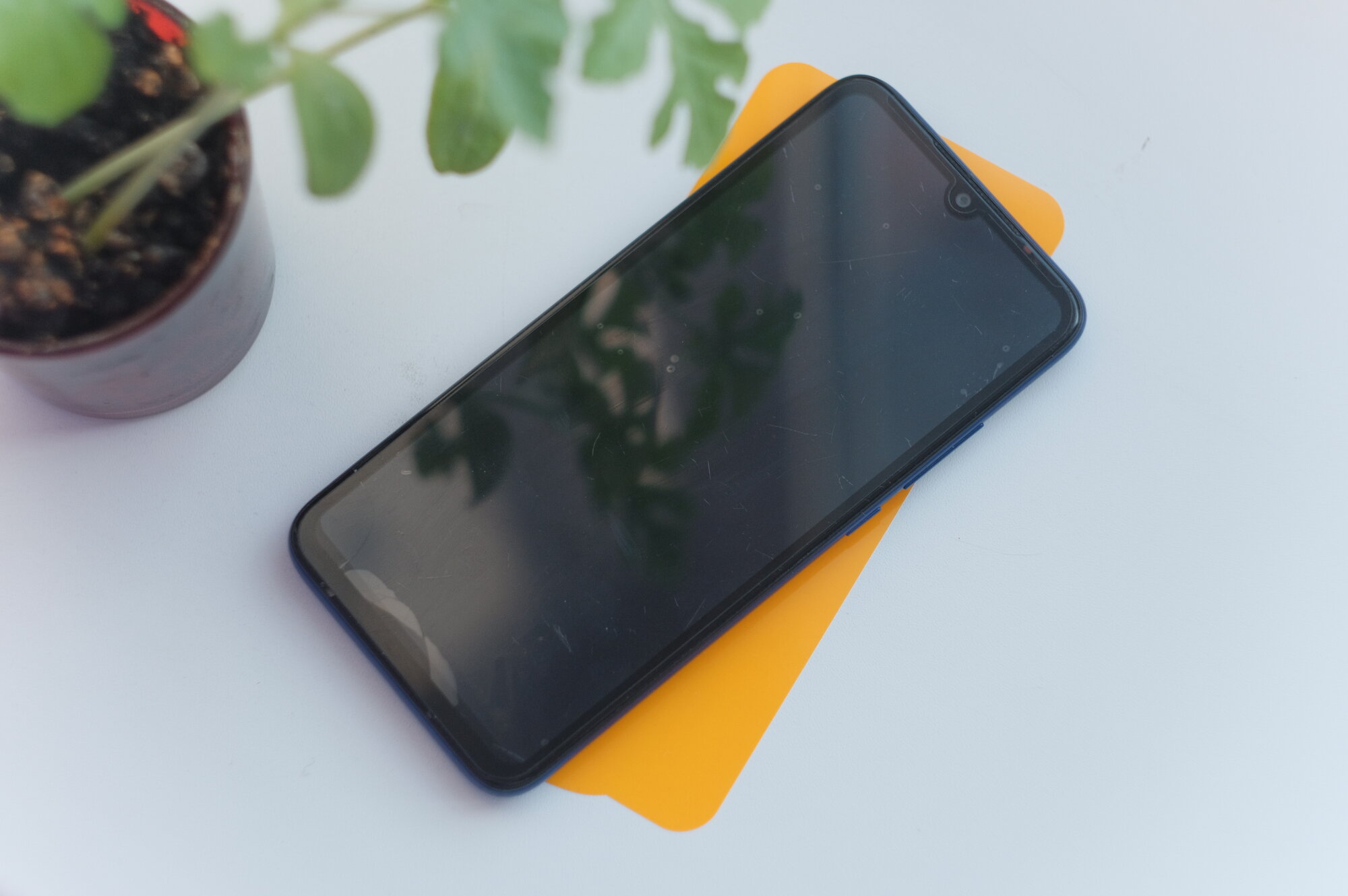 review-photo