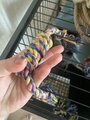 review-photo