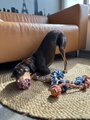 review-photo