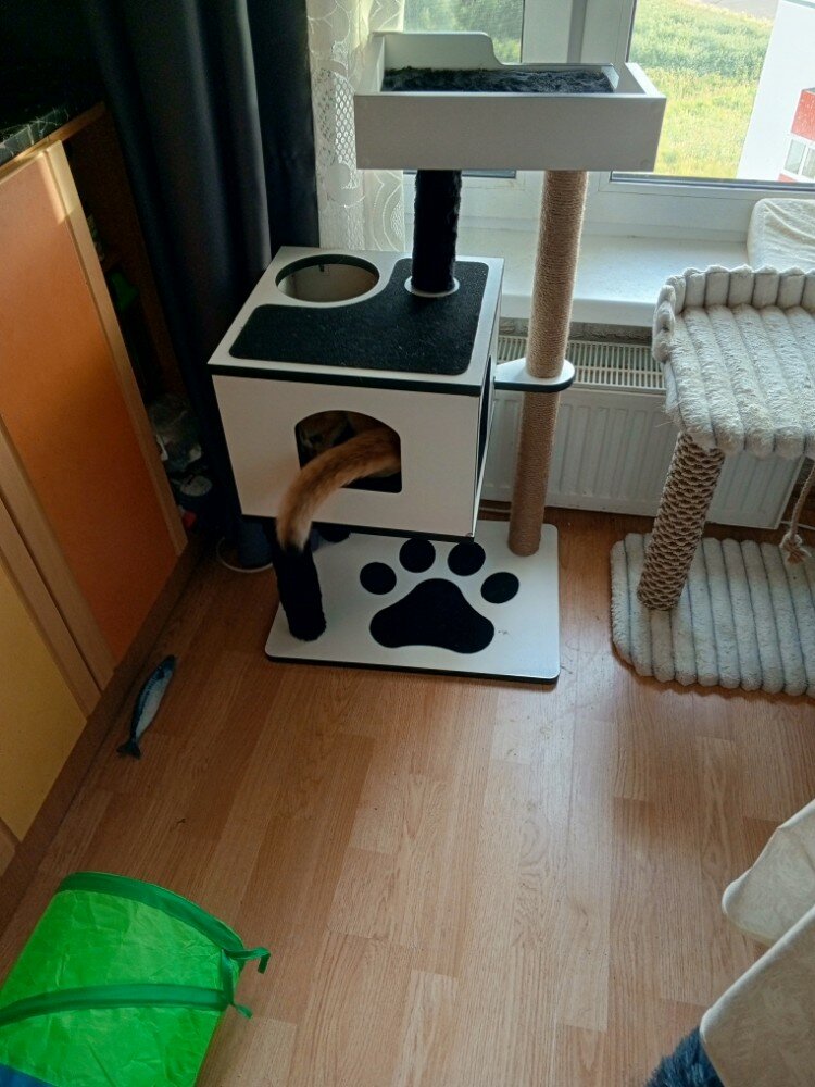 review-photo