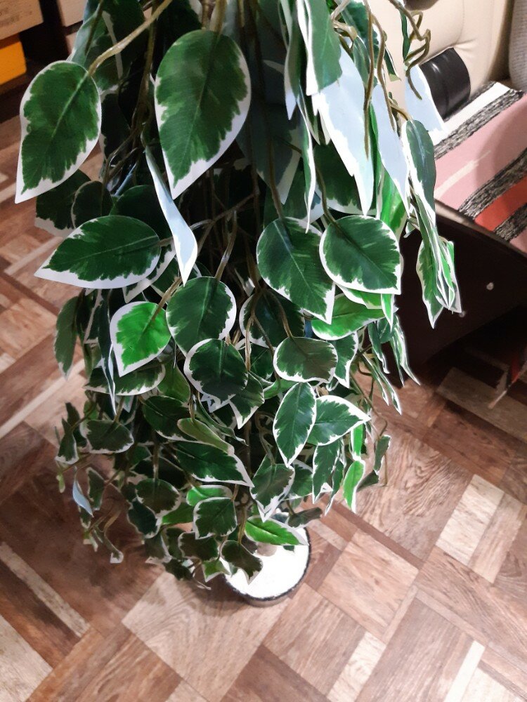 review-photo